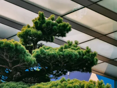 ArcaneBet Casino Mobilna aplikacija